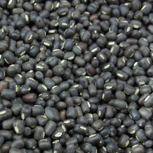 Black Urad Dal 02