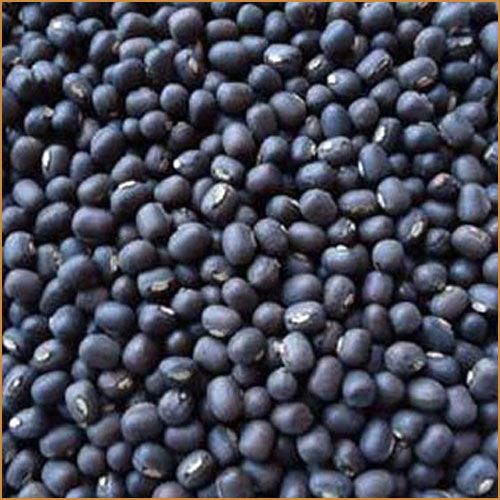 Black Urad Dal 03