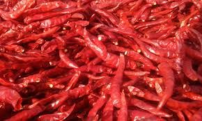 Dried Red Chilli 01