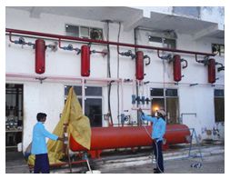 Spider Control Services 01