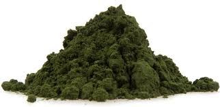 Spirulina Powder 01