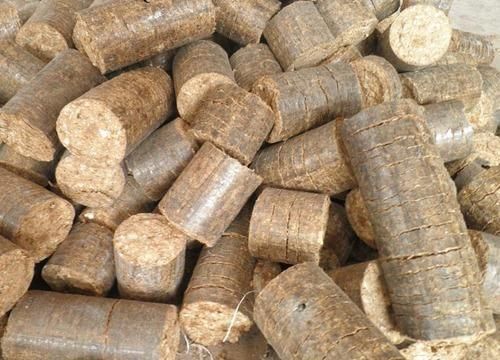 Bio Coal Briquettes 01