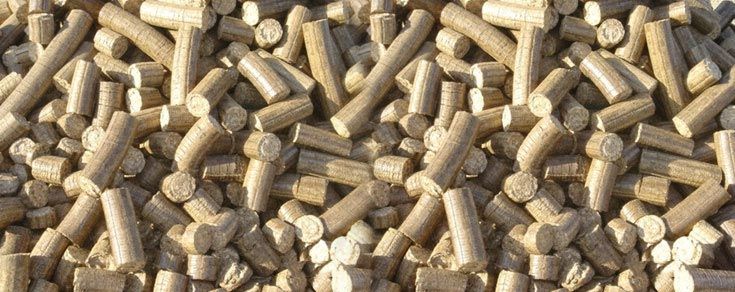 Bio Coal Briquettes 02