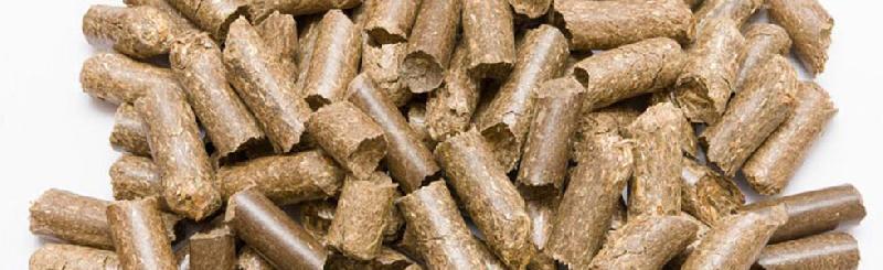 Bio Coal Briquettes 04