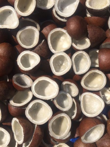 Dried Coconut Ball Copra 01