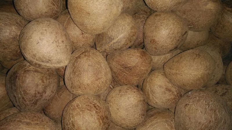 Dried Coconut Ball Copra 02
