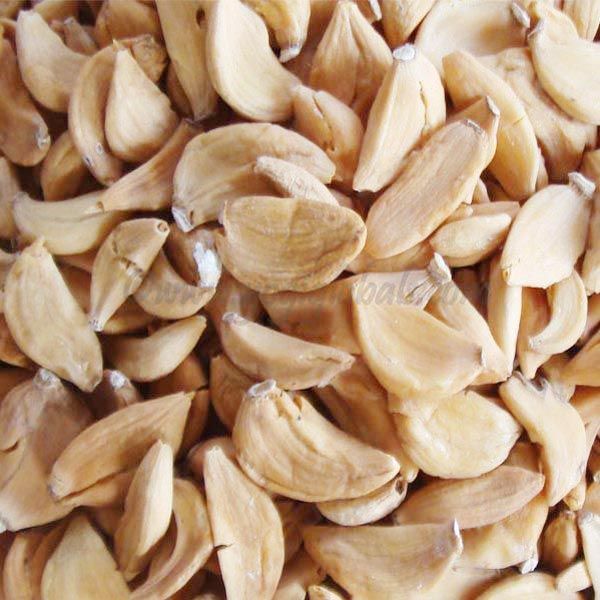 Dehydrated Garlic 02