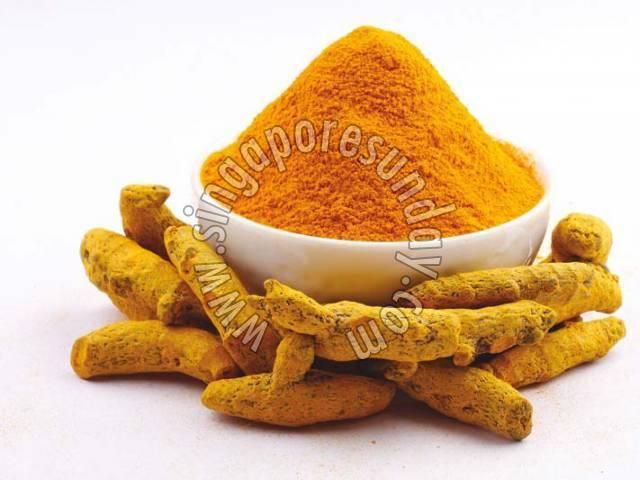 turmeric powder supplier