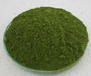 Moringa Powder 01
