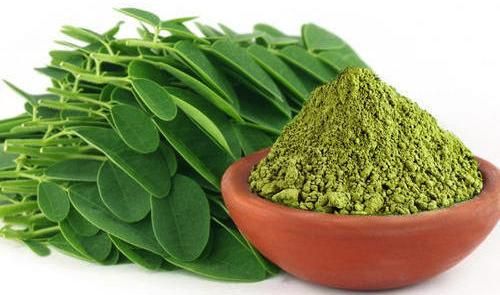 Moringa Powder 04