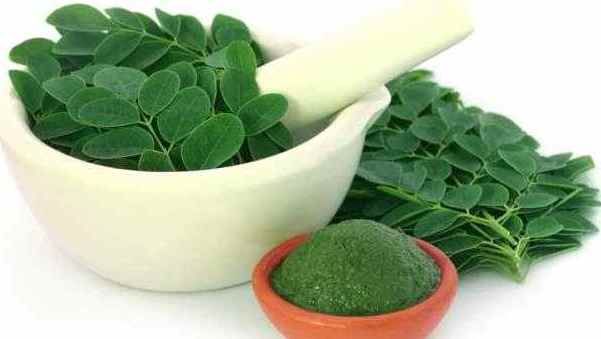 Moringa Powder 06