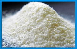 Chitosan Water Soluble Powder