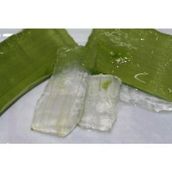 Aloe Vera Pulp 02