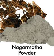 Nagarmotha Powder