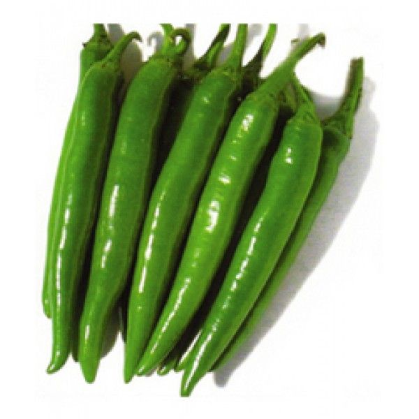 Fresh Green Long Chilli 04