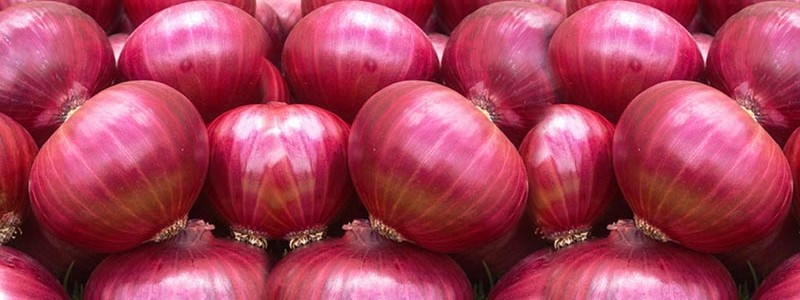 Fresh Red Onion 04