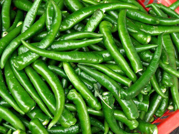 Fresh Green Chilli 02