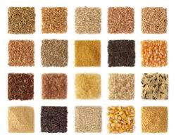 Food Grains 02
