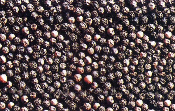 Black Pepper Seeds 02