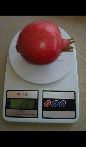 Fresh Pomegranate 03