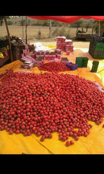 Fresh Pomegranate 04