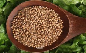 Coriander Seeds 02