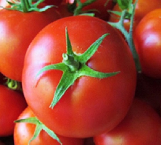Fresh Tomato