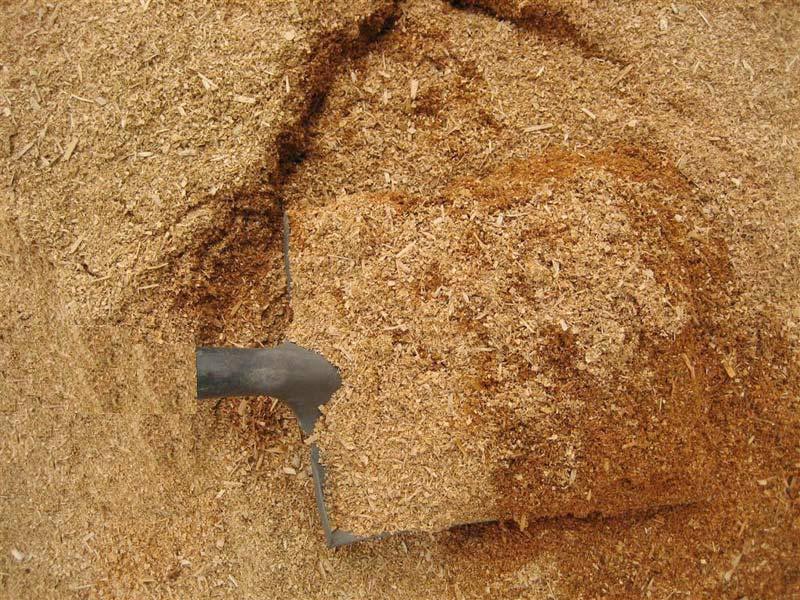 Sawdust Powder 01