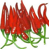 Red Chilly-01