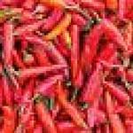 Red Chilly-02