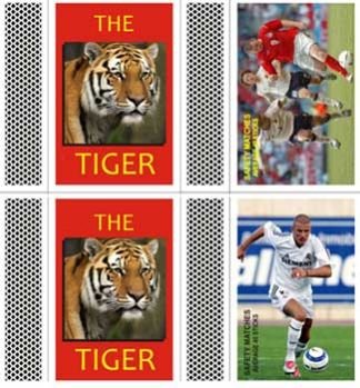 Safety Matches (The Tiger)