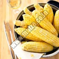 Maize  Exporters