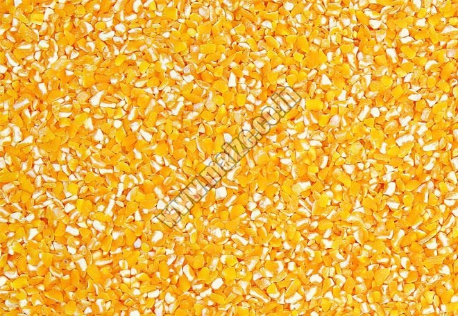 Yellow Corn Grits