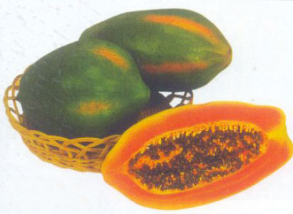Papaya  Seeds 