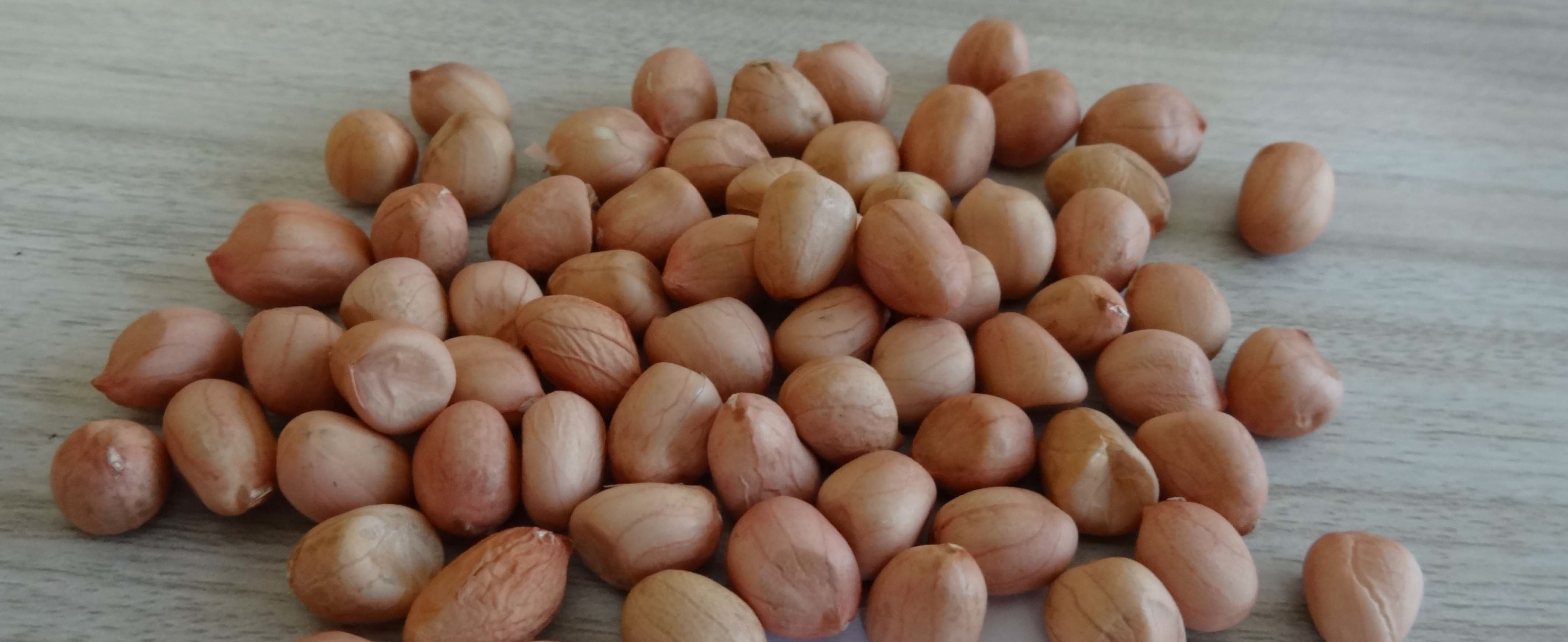 Java Type Peanut Kernel