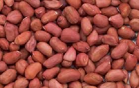 Peanut Kernel