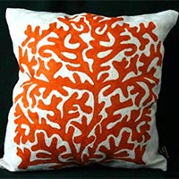 Coral Orange Cover