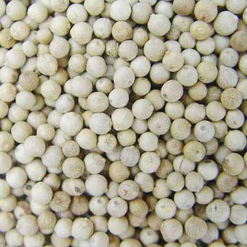 White Pepper Seeds