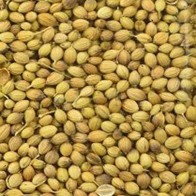 Coriander Seed 01