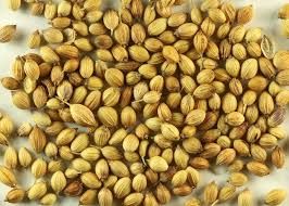 Coriander Seed 02