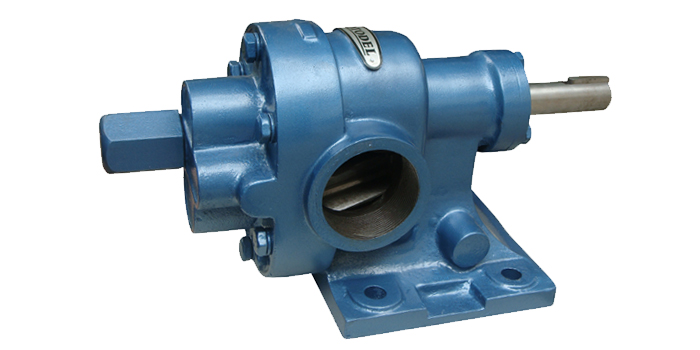 HGN Type Rotary Gear Pump 04