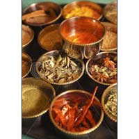 Indian Spices 002