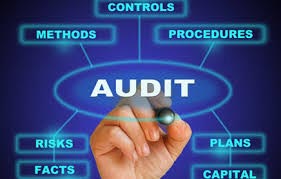 Cyber Security Audit Services