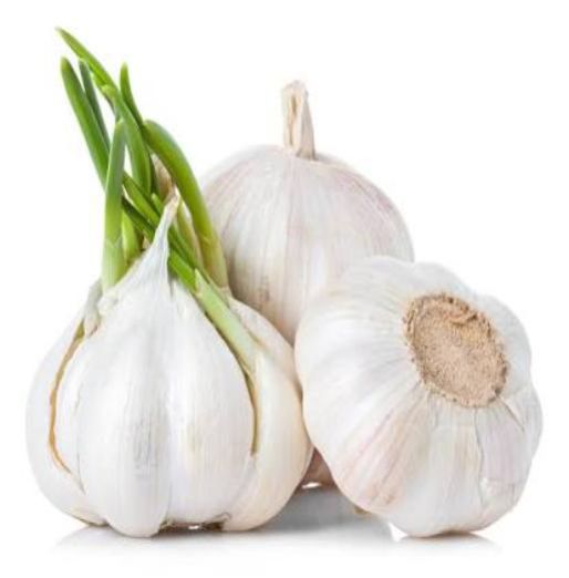 Fresh Garlic 014