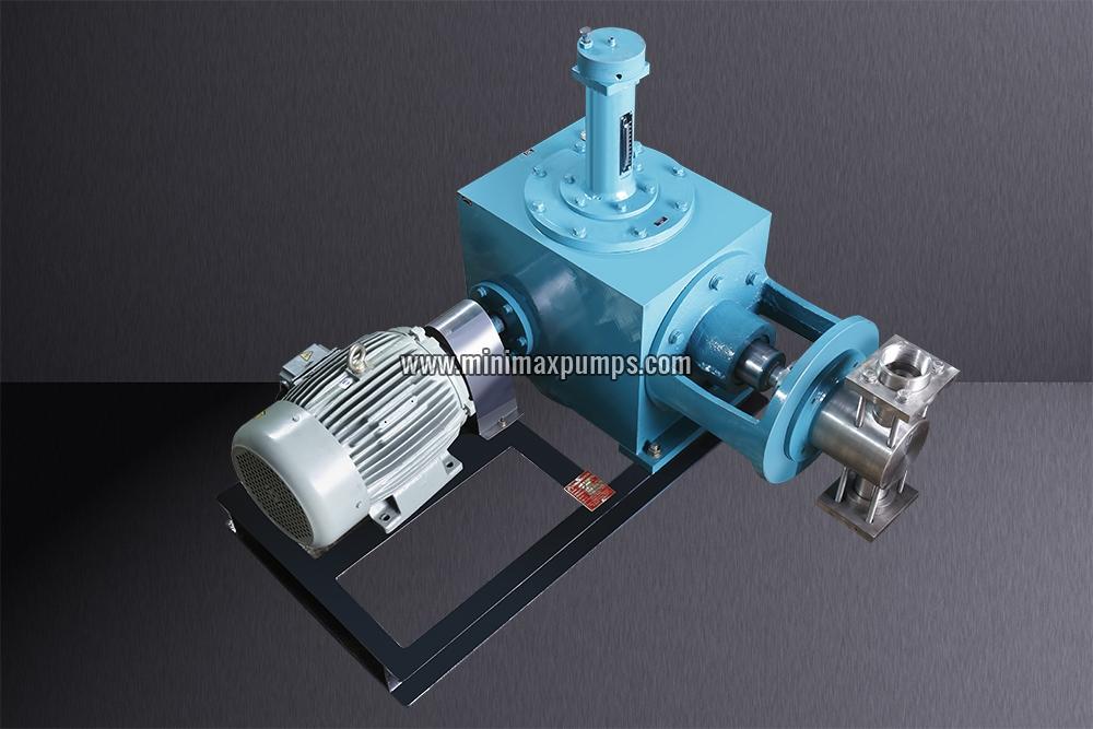 Multiple Head Metering Pump