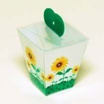 PVC Printed Boxes 01