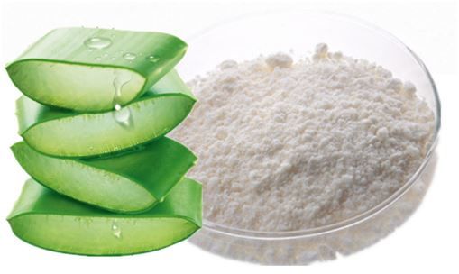 Aloe Vera Gel Powder