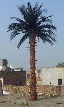 Date Palm Artificial Tree (BT-14)