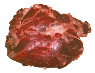 Frozen Buffalo Topside Meat