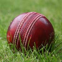 Leather Cricket Ball (01)
